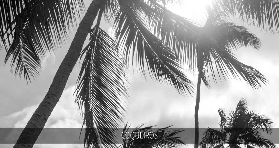 COQUEIROS